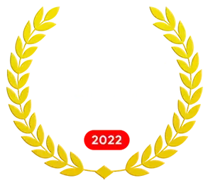 best web development services in india