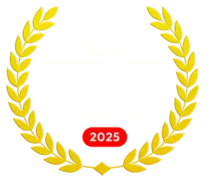 excellence in website performance